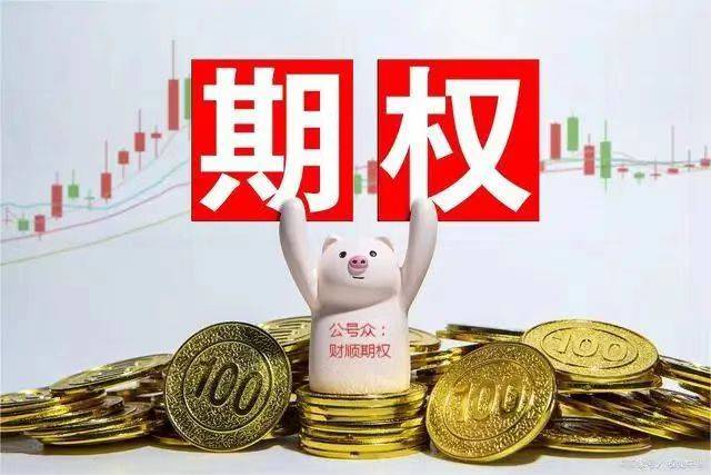 如何判断期权的涨跌？