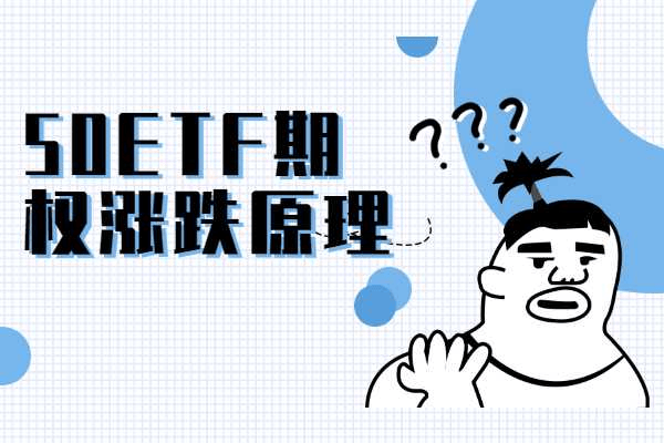 股指期权的涨跌因素是什么?