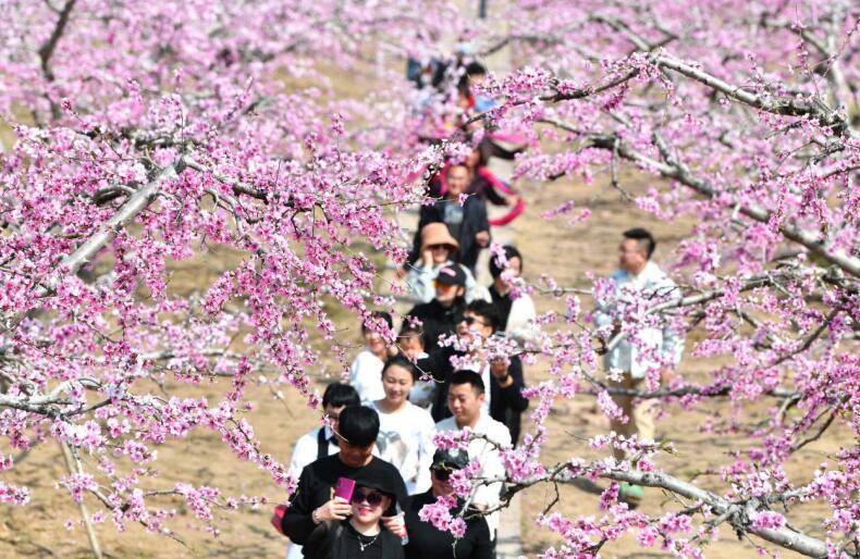亳州谯城：拼出新蓝图 搏出新路径