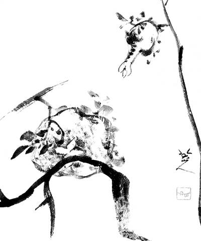 “石榴裙”的名称是怎么来的？