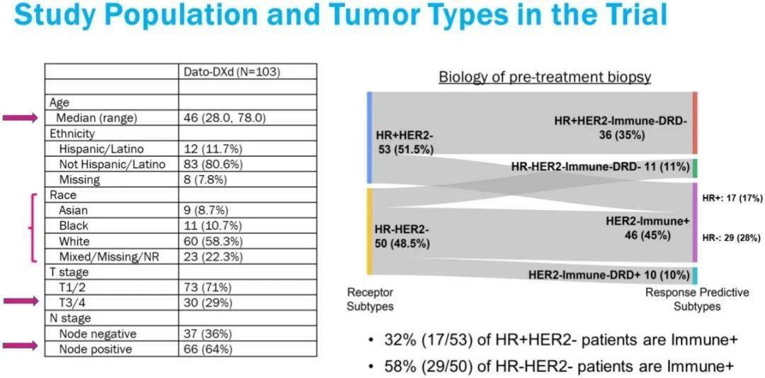 Dato-DXd 联合度伐利尤单抗或将开启乳腺癌新辅助去化疗新时代｜ASCO 2024