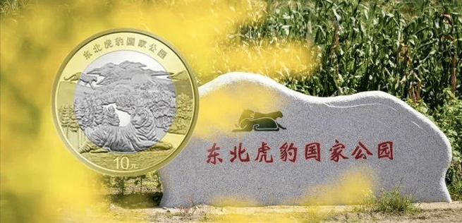 东北虎纪念币十月生死难料？纪念币收藏已经变味