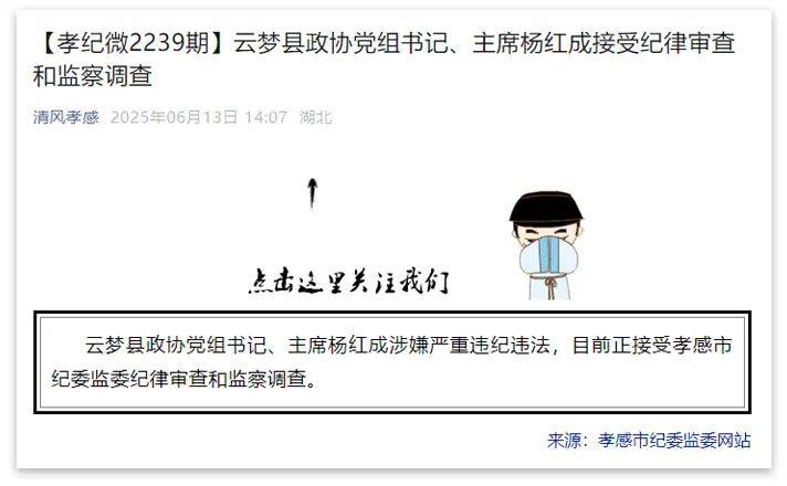 湖北3人被查