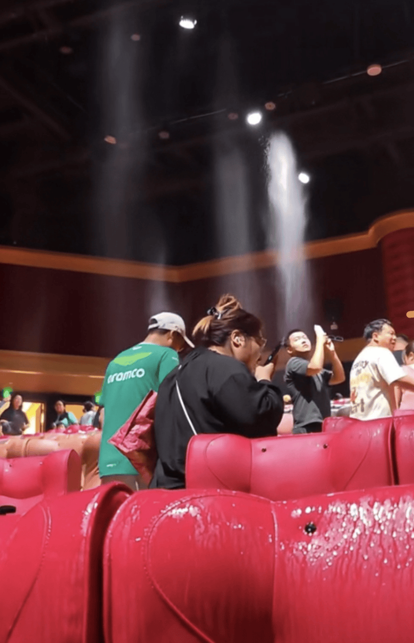 上海乐高乐园回应试运营首日4D影院漏水：已暂停水特效环节