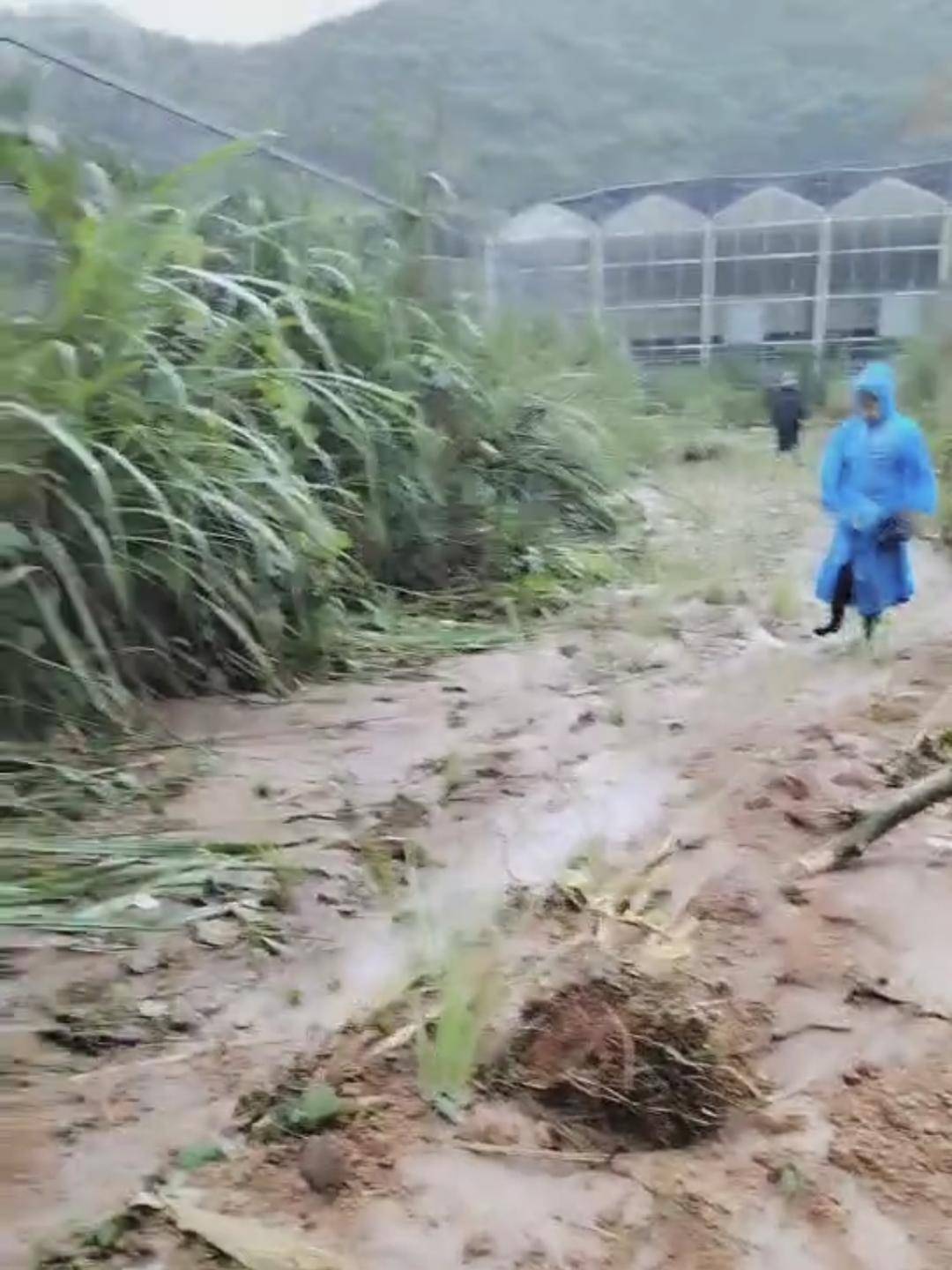 湖南慈利一对六旬夫妇疑被洪水冲走 县政府办：已上报失联，仍在搜救