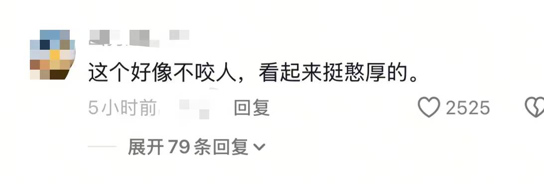 画面曝光！吉林延边八家子镇有居民称拍到东北虎，网友：看起来挺“憨厚”，当地回应