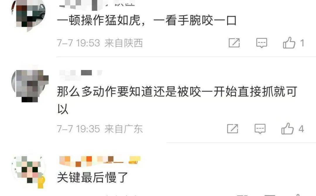 江西男子徒手抓蛇，一招“大风车”试图将蛇转晕，被反咬一口！网友：一顿操作猛如虎