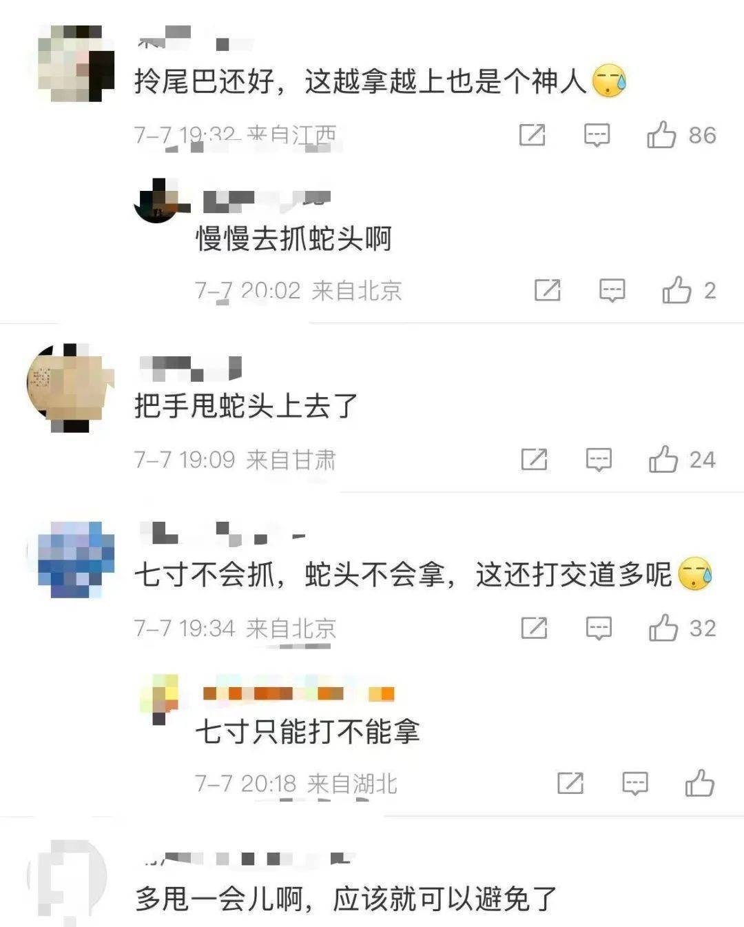 江西男子徒手抓蛇，一招“大风车”试图将蛇转晕，被反咬一口！网友：一顿操作猛如虎