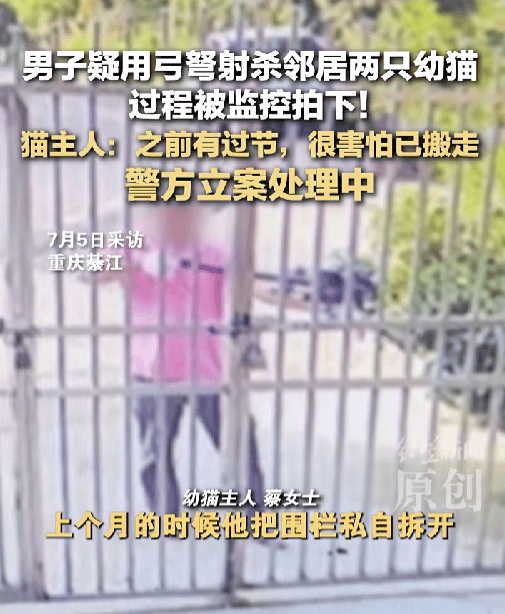 男子用弓弩射杀邻居两只幼猫，过程被监控拍下，警方通报：已行拘